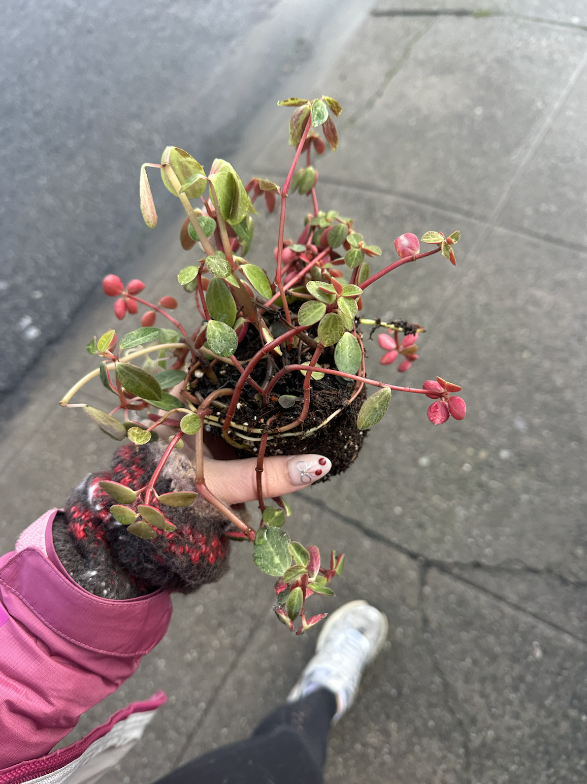 Unexpected gift on January 4, 2026